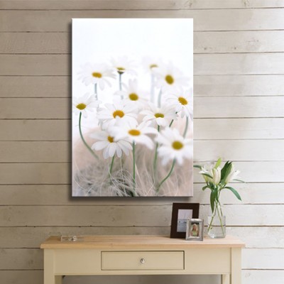 Doğal Çiçekler Papatyalar Dikey Kanvas Tablo