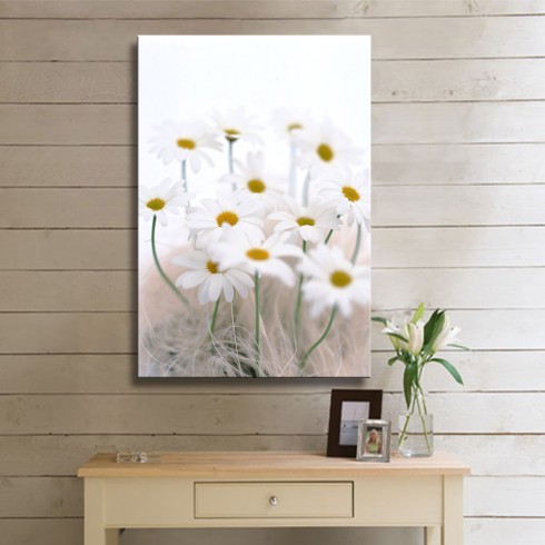 Doğal Çiçekler Papatyalar Dikey Kanvas Tablo