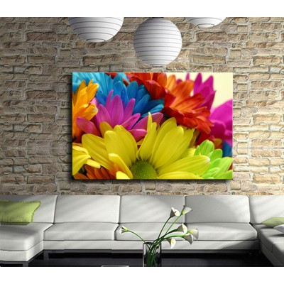 Canlı Renklerde Çiçekler Kanvas Tablo