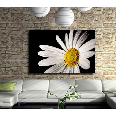 Beyaz Narin ve Güzel Papatya Kanvas Tablo