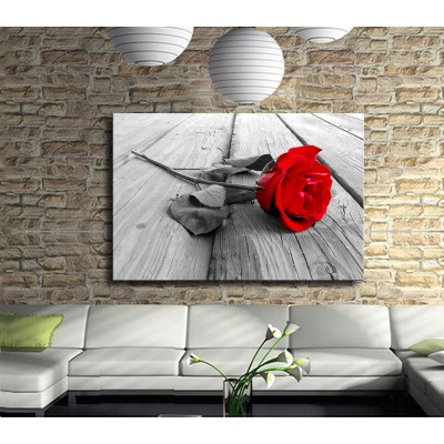 Aşıkların Çiçeği Kırmızı Gül Kanvas Tablo