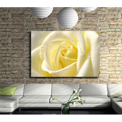 Saflığın ve Sadeliğin Çiçeği Gül Kanvas Tablo