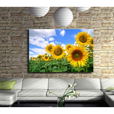 Ayçiçek Tarlası Kanvas Tablo