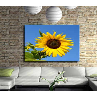 Ayçiçek Kanvas Tablo