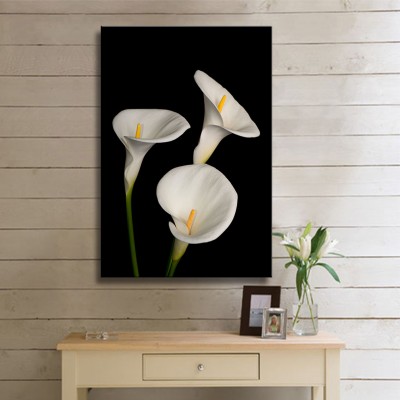 Beyaz Gala Çiçeğinin Asaleti Kanvas Tablo