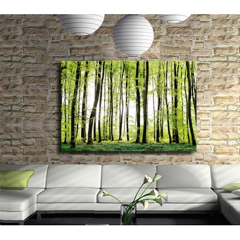 Orman Tazeliği Kanvas Tablo