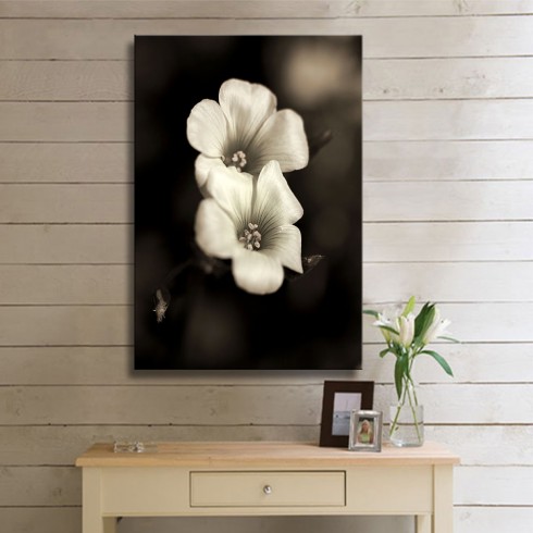 Siyah Beyaz da Derinlik Kanvas Tablo