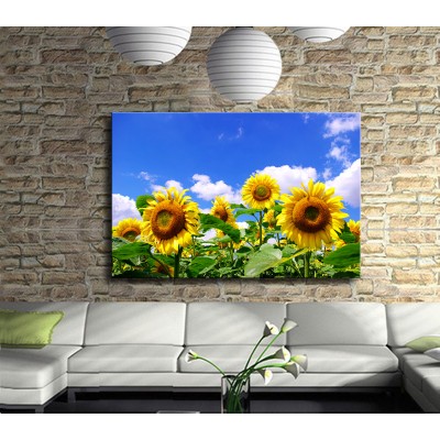 Ayçiçeği Çiçek Tarlası Kanvas Tablo
