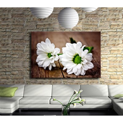 Beyaz Çiçekler Kanvas Tablo