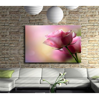 Pembe Gül Çiçek Manzara Kanvas Tablo