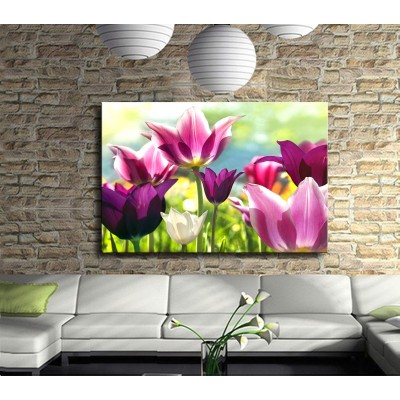  Lila Pembe Laleler Kanvas Tablo