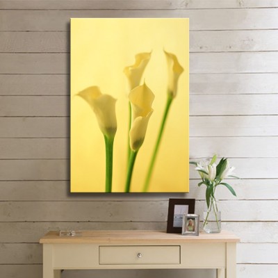 Sarı Soft Gala Çiçeği Kanvas Tablo