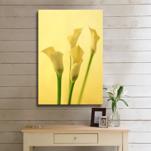 Sarı Soft Gala Çiçeği Kanvas Tablo
