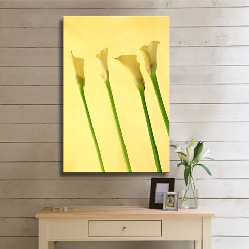 Sarı Soft Güzellik Gala Çiçeği Kanvas Tablo