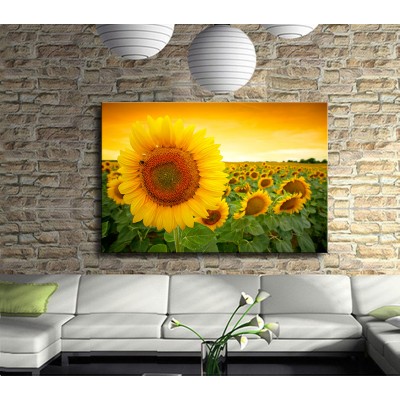 Gün Batımında Ayçiçekler Kanvas Tablo