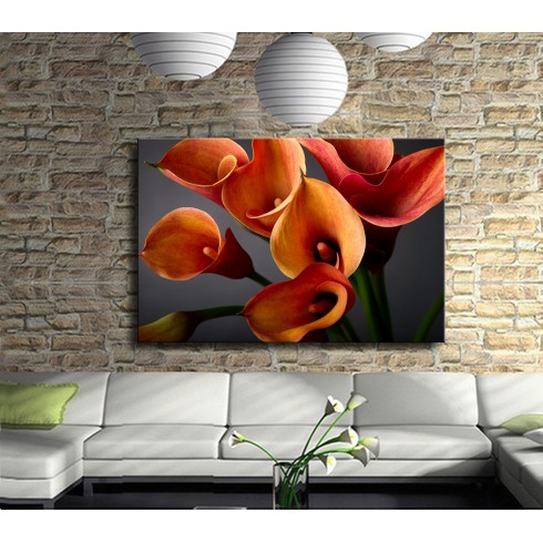 Çiçekler Kanvas Tablo