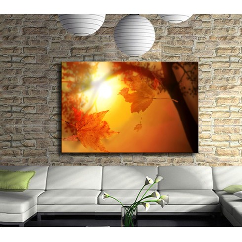 Sonbahar Sarı Yapraklar Kanvas Tablo