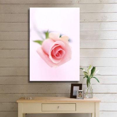 Şeker Pembesi Gül Kanvas Tablo