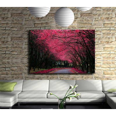Harika Pembe Ağaçlı Yol Kanvas Tablo