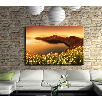 Koyda Mayıs Papatyaları Kanvas Tablo