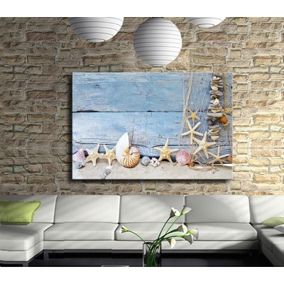 Ağa Takılan Deniz Kabukları Yıldızları Kanvas Tablo 