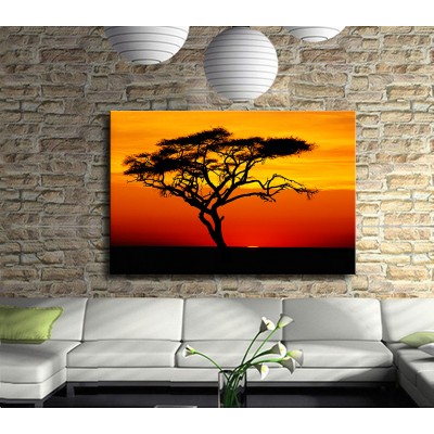 Afrikadan Bir Kare Kanvas Tablo