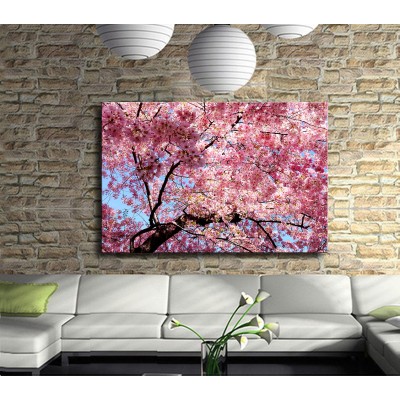 Pembe Kiraz Çiçekleri Kanvas Tablo