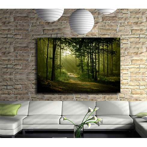 Ormanda Huzur Kanvas Tablo